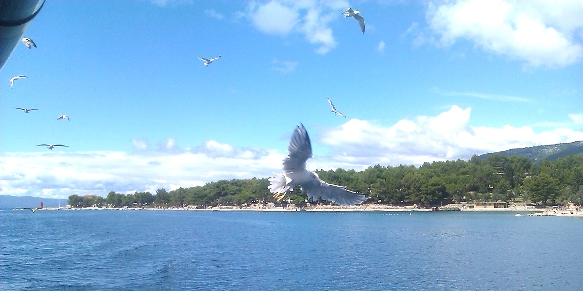 Departure from Cres town